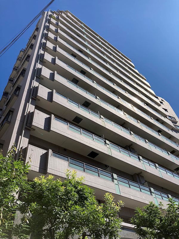 ライオンズマンション渋谷道玄坂 現地写真
