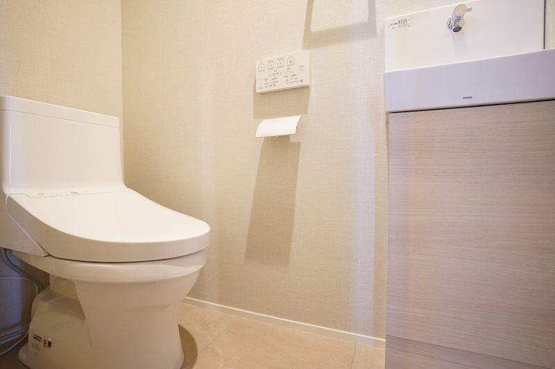 ダイアパレス三軒茶屋トゥワメゾン 内観写真（トイレ）