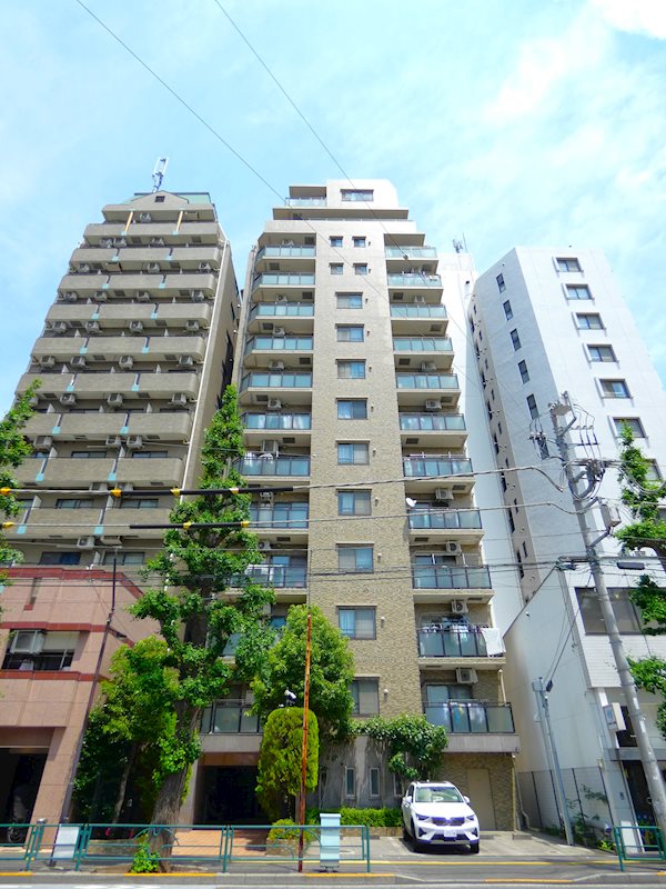 藤和シティホームズ文京向丘 現地写真